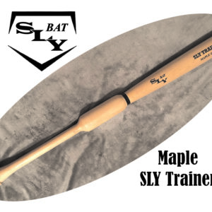 SLY Trainer 2 1/2" Barrel